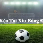 Kèo tài xỉu 1.25 Tất cả những điều bạn cần biết