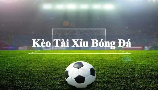 Kèo tài xỉu 1.25 Tất cả những điều bạn cần biết